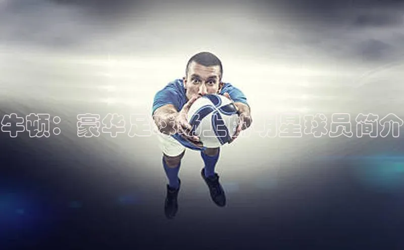 6688体育平台汉得信息牛顿：豪华足球场上的明星球员简介
