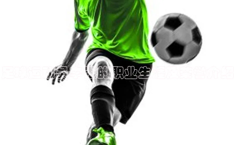 6688体育集团官网下载百家号足球运动员李银的职业生涯及荣誉介绍