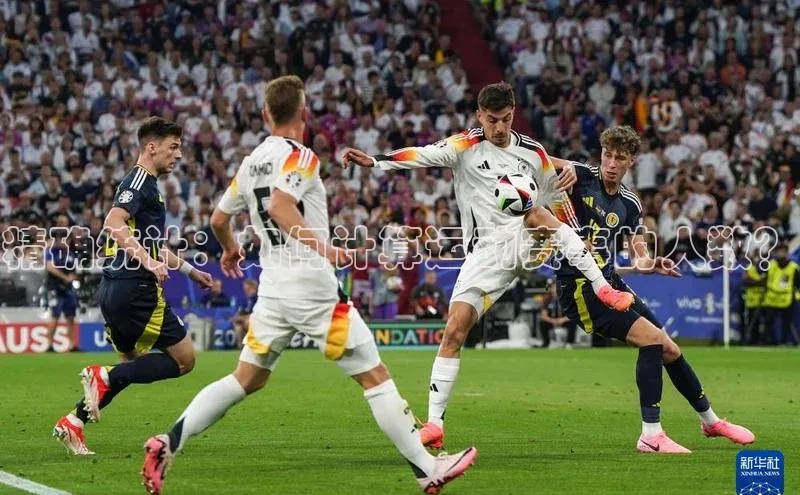 6688官方体育登录入口百度社团赞助平台精确统计：如何计算运动赛事的人数？