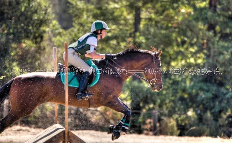 6688体育app注册京东恩平：一场充满激情的运动盛宴——2023年运动赛事亮点