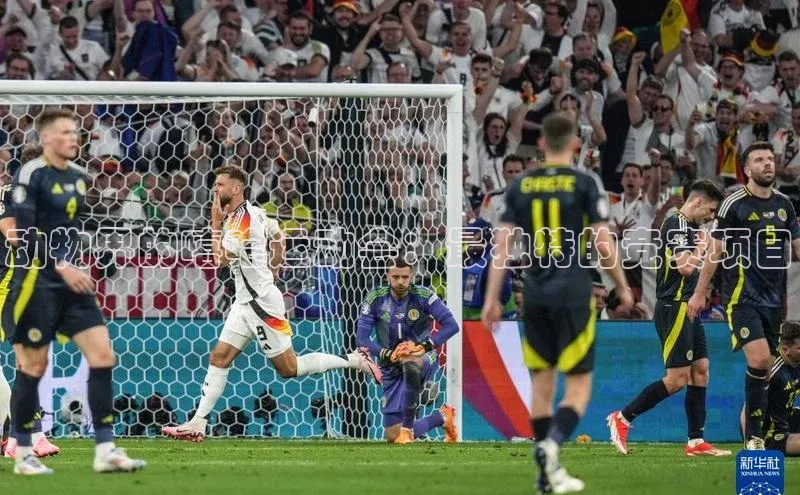 动物界的嘻哈运动会：最独特的竞赛项目