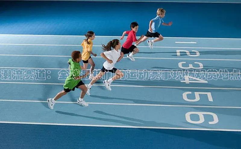 潮流赛道：全球最热门的运动赛事现场观赏地点