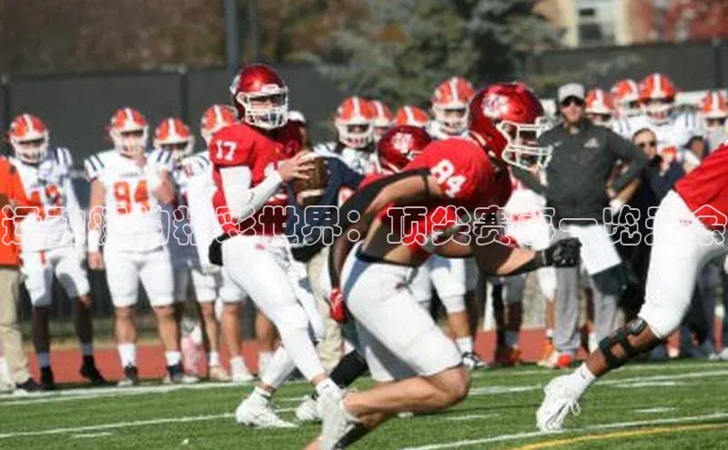 运动艇的精彩世界：顶尖赛事一览无余