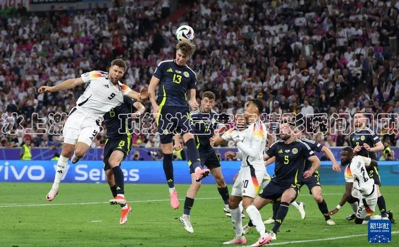 冰上激情：顶级冰壶赛事精彩瞬间回顾