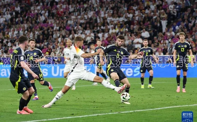 极限巅峰：年度极限运动赛事集锦