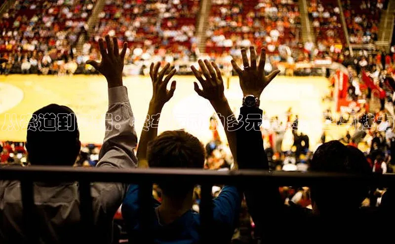 从赛道到云端：赛车运动的多元竞赛类型与魅力