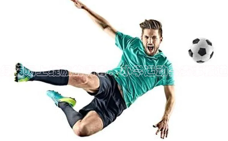 绿茵场上绽放的青春：小学运动会赛事报道