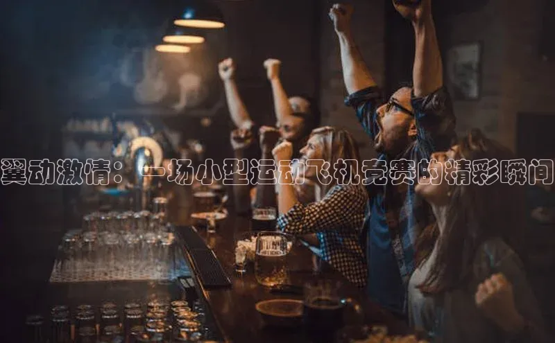 翼动激情：一场小型运动飞机竞赛的精彩瞬间
