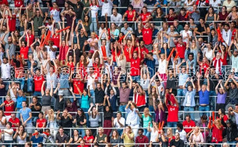 跃高峰：校园运动会中的跳高竞技盛宴