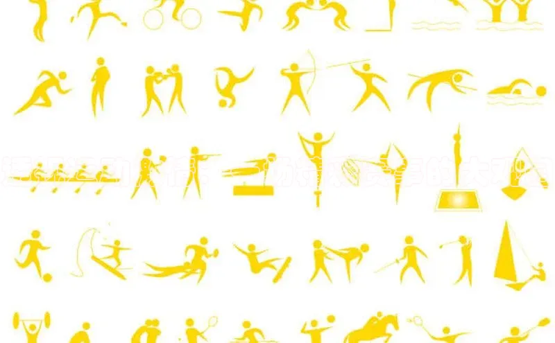 透视运动激情：一场精彩赛事的大观园