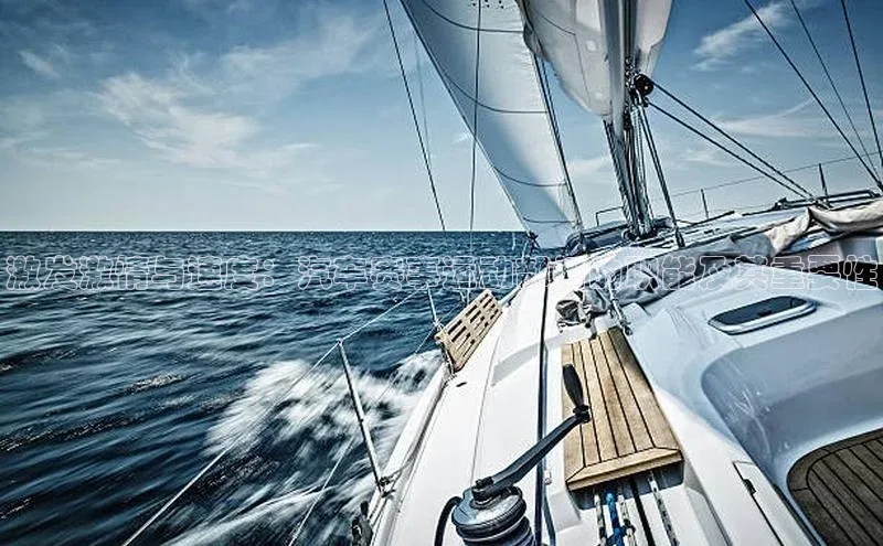 激发激情与速度：汽车赛事运动部门的职能及其重要性