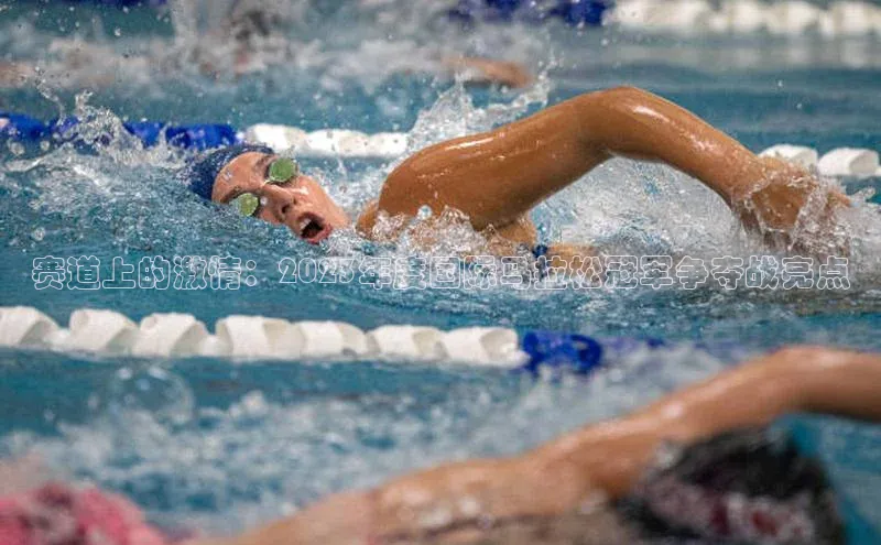 赛道上的激情：2023年度国际马拉松冠军争夺战亮点