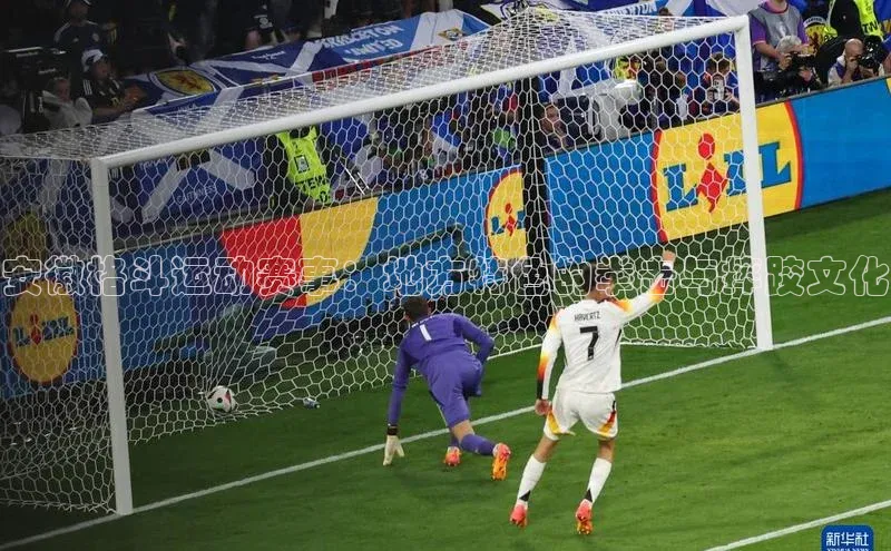 安徽格斗运动赛事：地方特色的拳击与摔跤文化