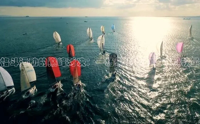 格斗运动的巅峰对决：一场拳脚间的史诗级较量