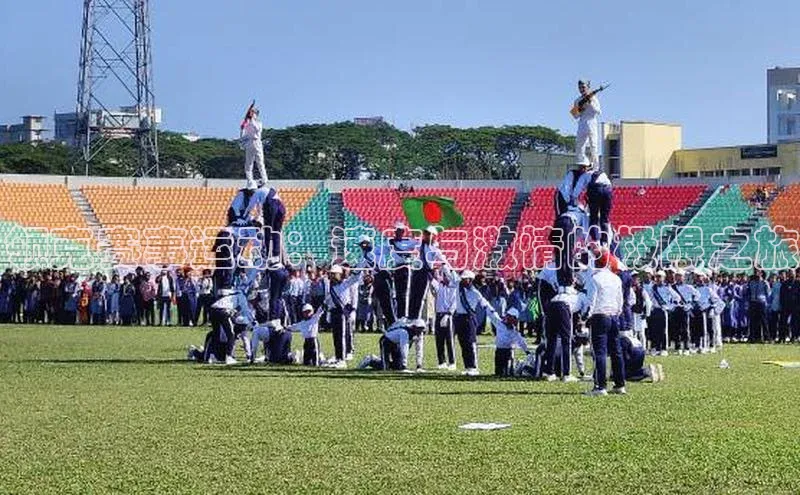 6688体育手机版登录