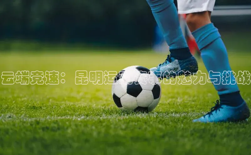 云端竞速：昆明运动赛事的魅力与挑战